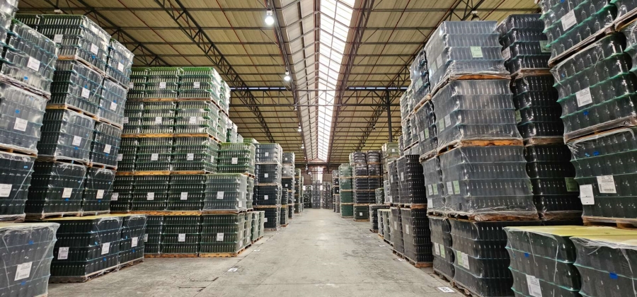 To Let commercial Property for Rent in Parow Industrial Western Cape